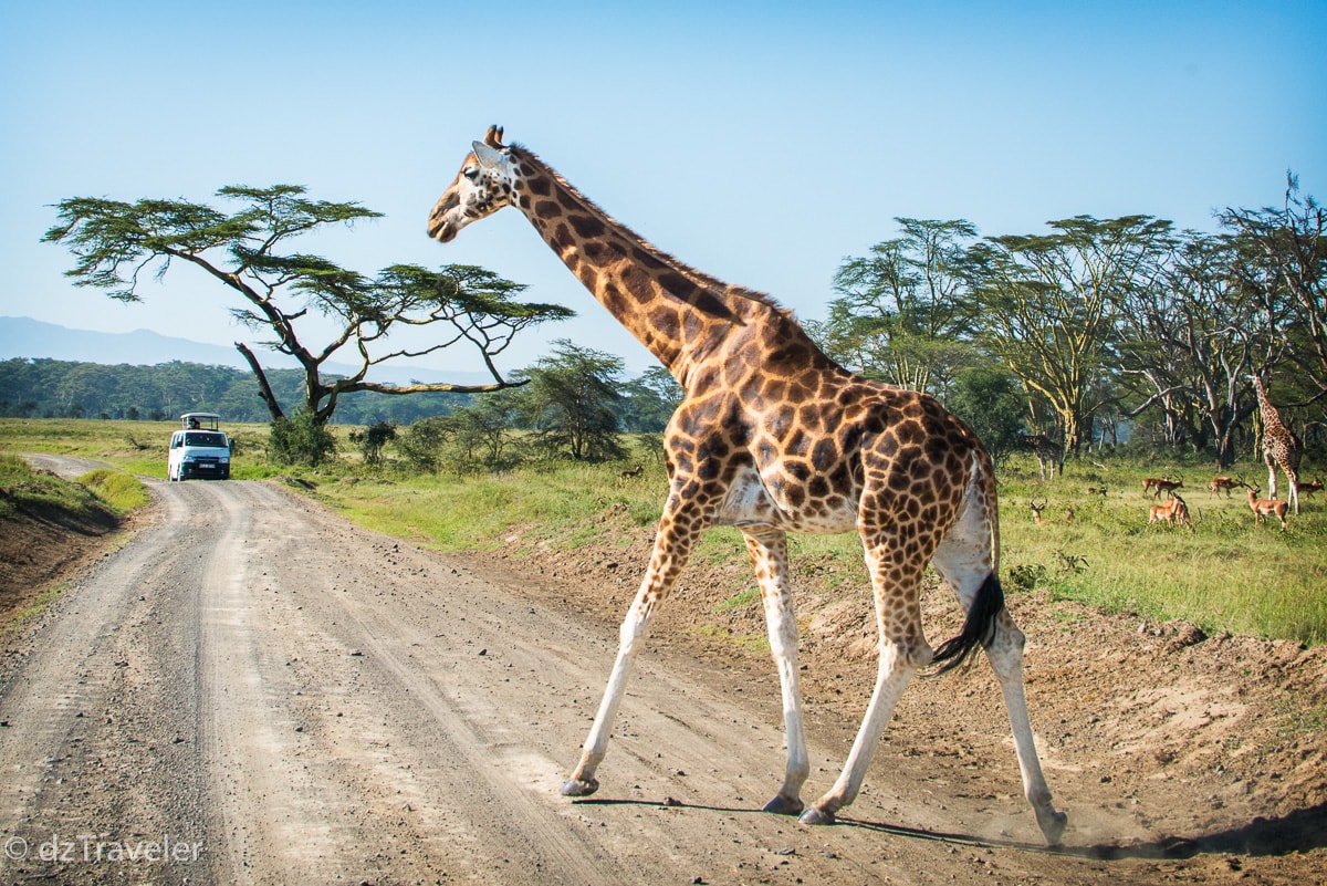 Nakuru National Park, Kenya