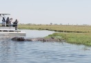 Chobe National Park, Botswana