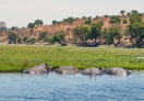 Chobe National Park, Botswana