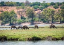 Chobe National Park, Botswana