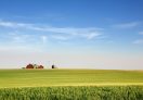 A landscape with wheat and a farm on the horizon