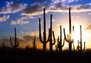 Beautiful desert view in Nevada