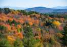 A view of foliage color in New Hampshire