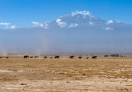 Amboseli National Park, Kenya