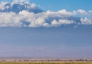 Amboseli National Park, Kenya