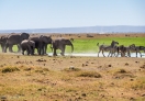 Amboseli National Park, Kenya