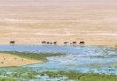 Amboseli National Park, Kenya