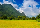 The Paddy field is surrounded by limestone mountains.