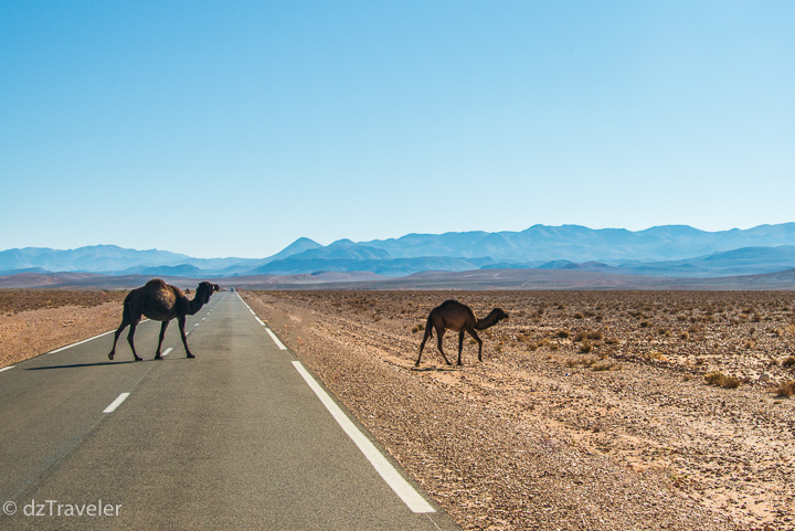 Highway to the Sahara desert