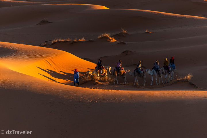 Camel-Trek in Erg Chebbi dunes
