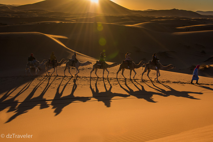 Camel-Trek and enjoy Erg Chebbi dunes