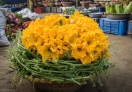 These flowers is one of the delicacy in Bangladesh