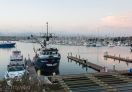 By Ventura Pier, California
