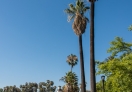 A view of Echo Park