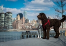 Gantry Plaza State Park in Long Island City