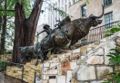 By the San Antonio River