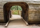 A fallen Sequoia tree, carved, and not a passage.