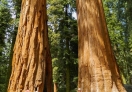 One Of The Most Photographed is The Twin Brothers in Sequoia NP