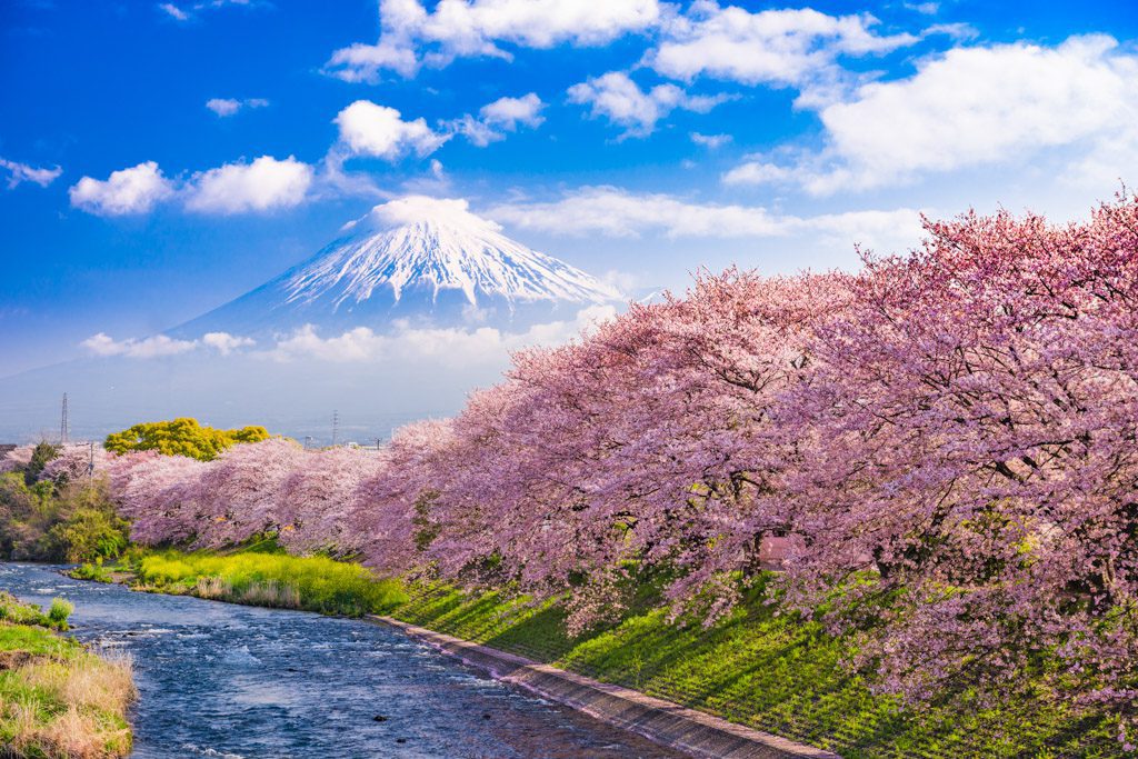 Mt. Fuji, Japan