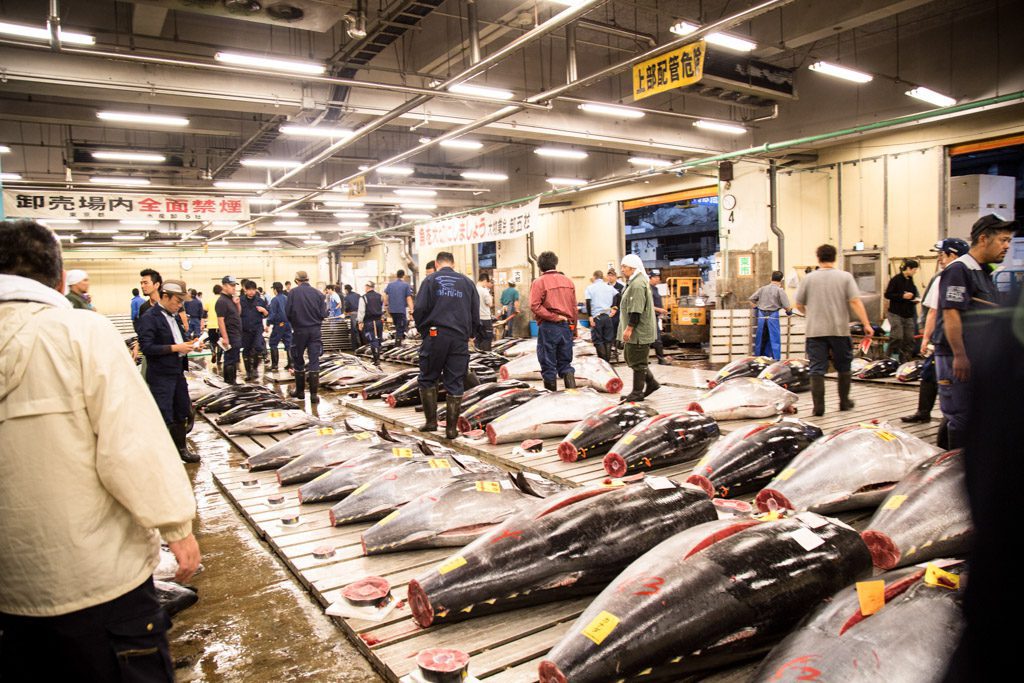 Tsukiji Fish Market