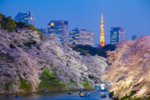 10 Top Things to do in Tokyo, Japan