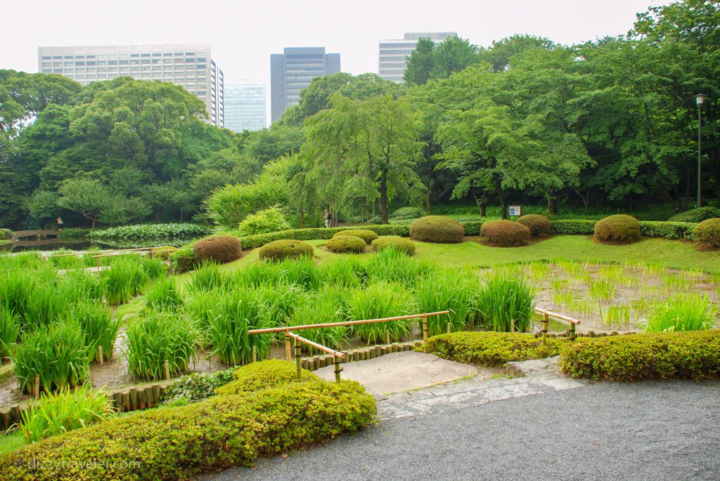 Imperial Palace East Garden, Tokyo