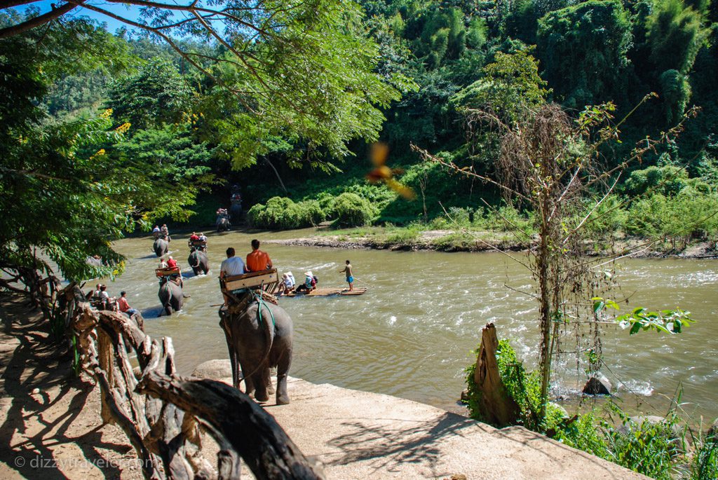 Elephant Nature Park