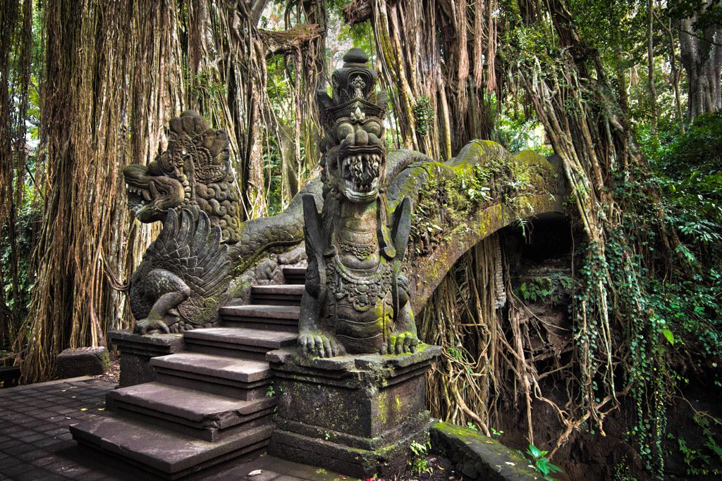 Monkey forest, Ubud