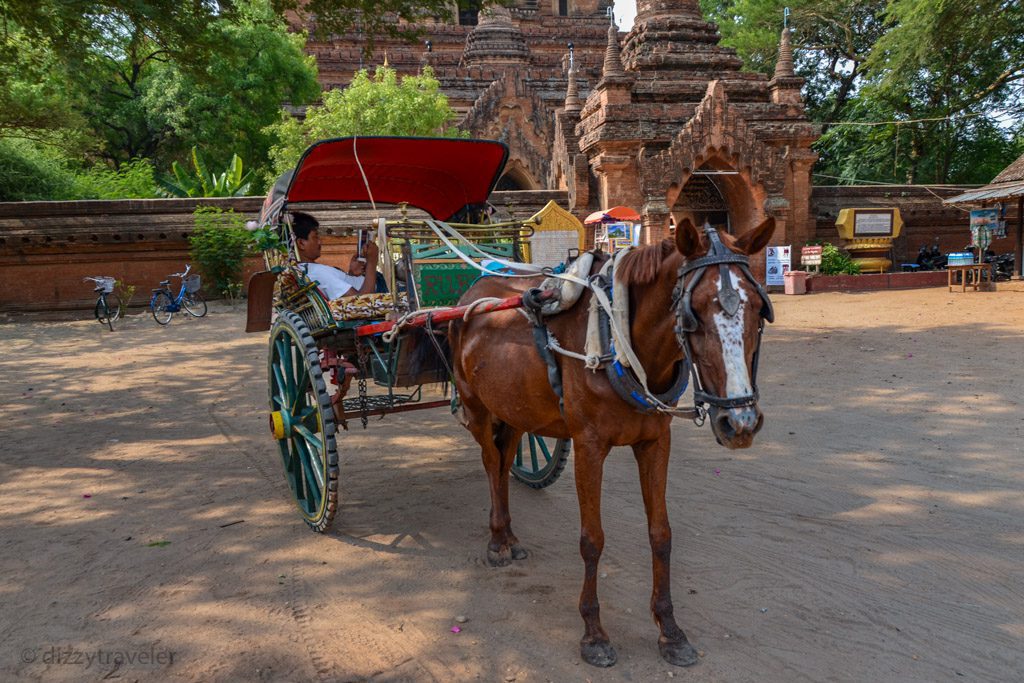 horse cart in Bagan