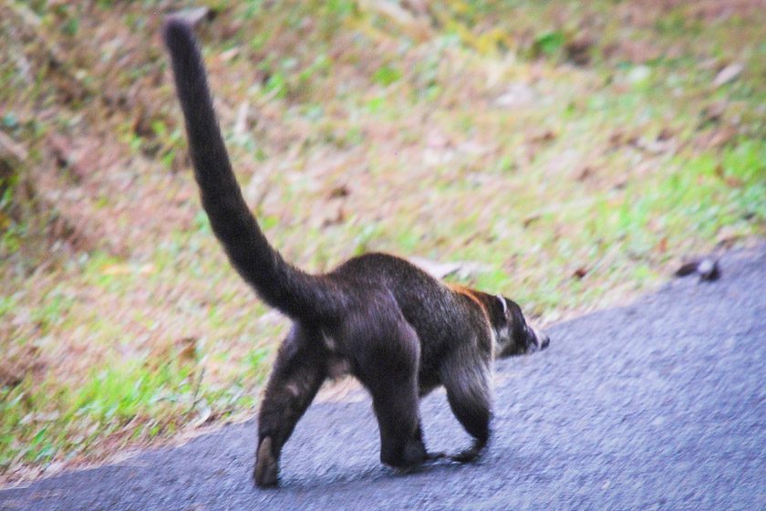 La Fortuna