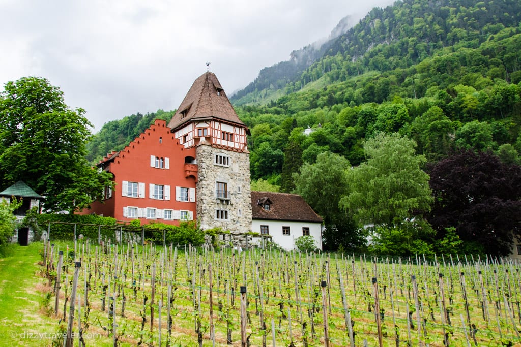 Winery in Vaduz