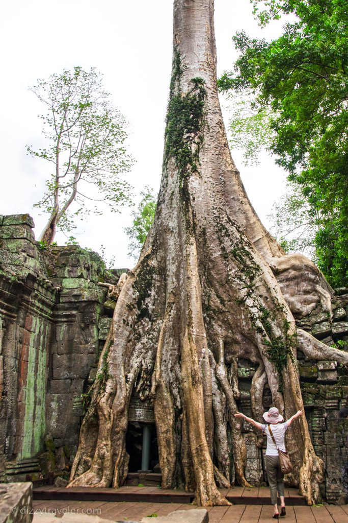 Ta Prohm Temple, Siem Reap