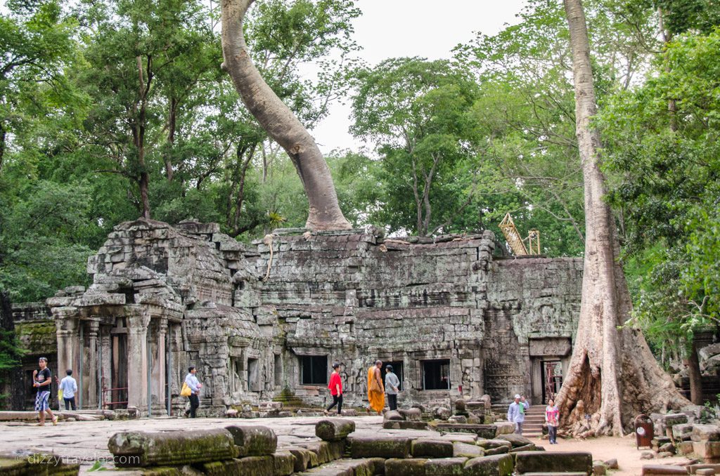 Ta Prohm Temple, Siem Reap