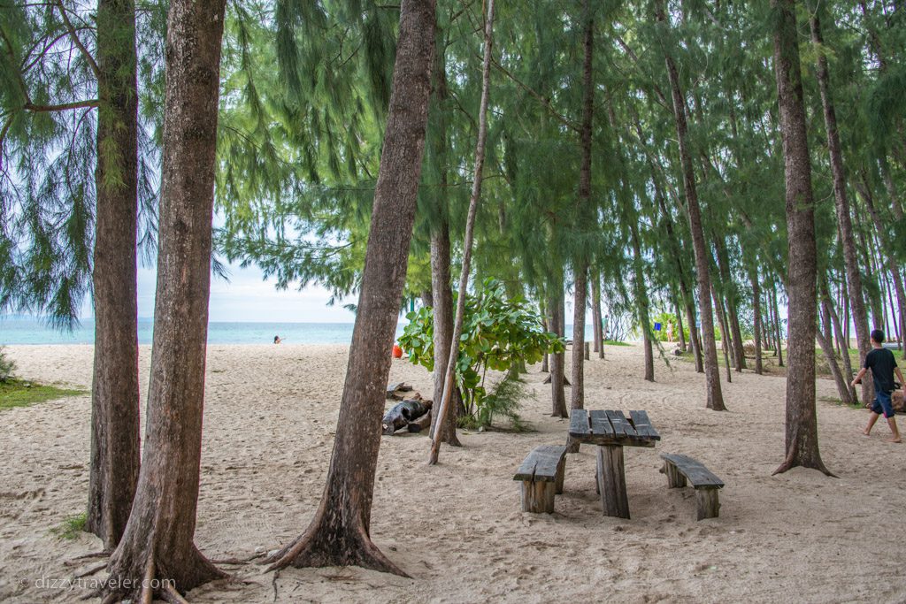 Bamboo Island