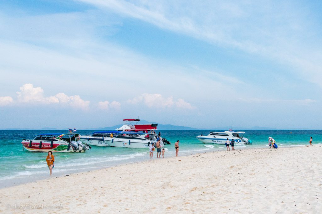 bamboo island