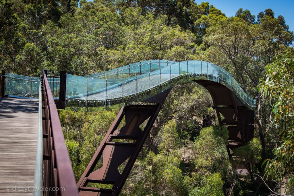 Tree-Top walk, perth