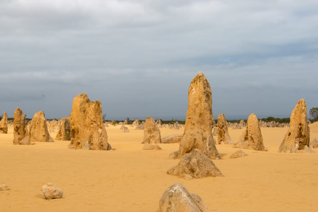 Pinnacles at Nambung National Park, Western Australia