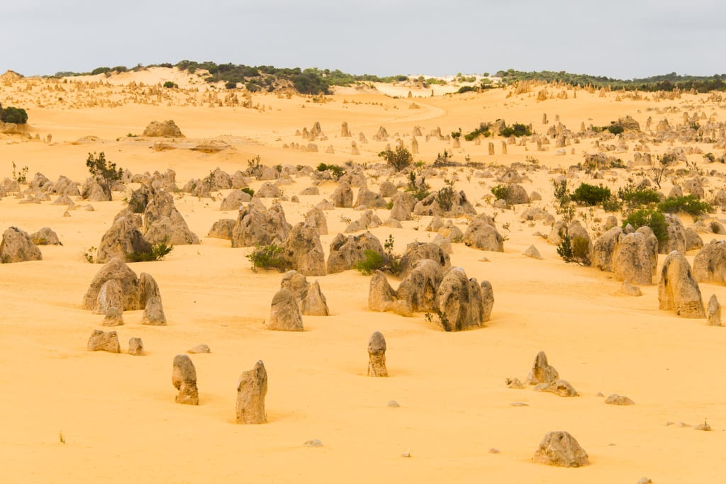Pinnacles at Nambung National Park, Western Australia