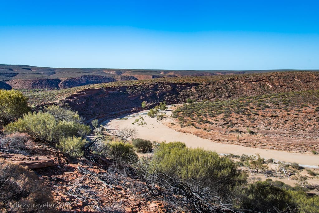 The Loop from the lookout