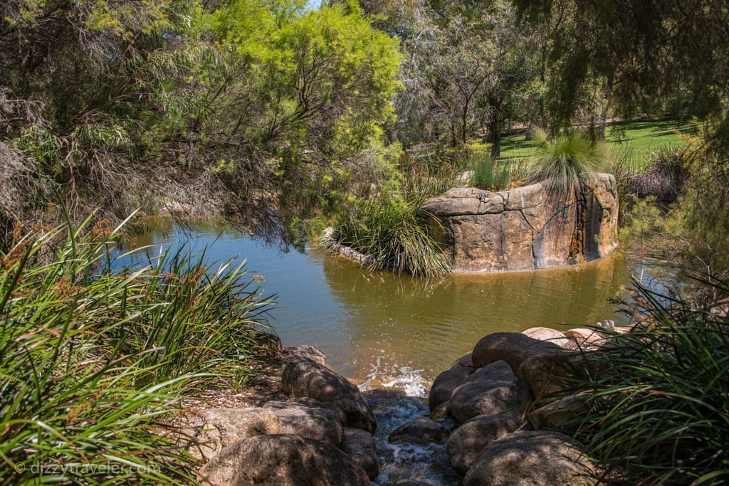 Water garden