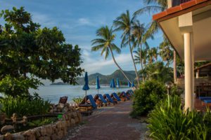 Read more about the article My Stay at Chaweng Resort, Koh Samui – Thailand