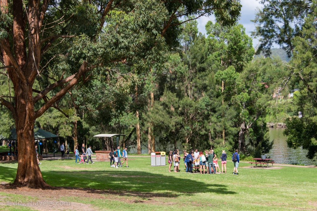 Regatta Park in Emu Plains right by the Nepean River