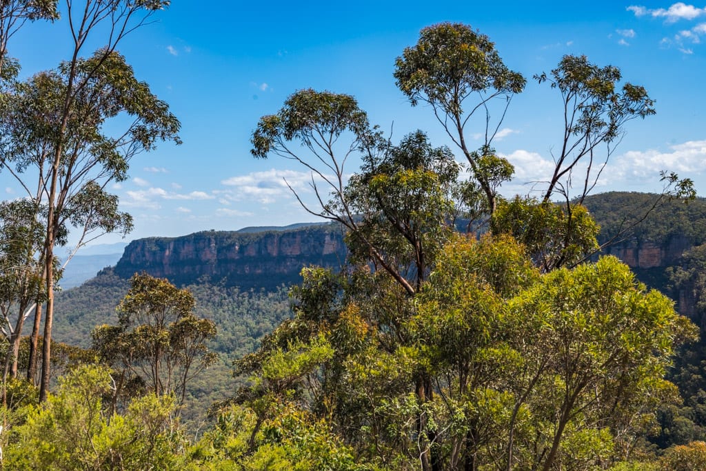 Blue Mountains