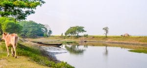Village of Bangladesh