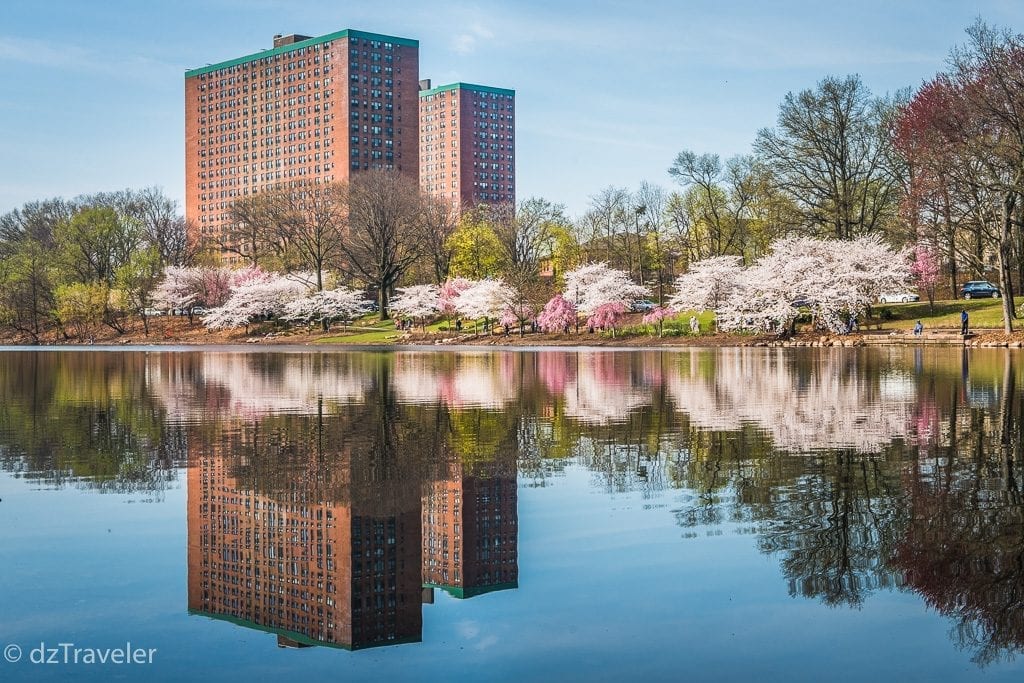 A beautiful lake in the northern park of the park, New Jersey 