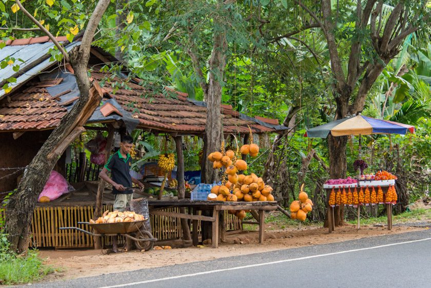 Road Trip From Colombo