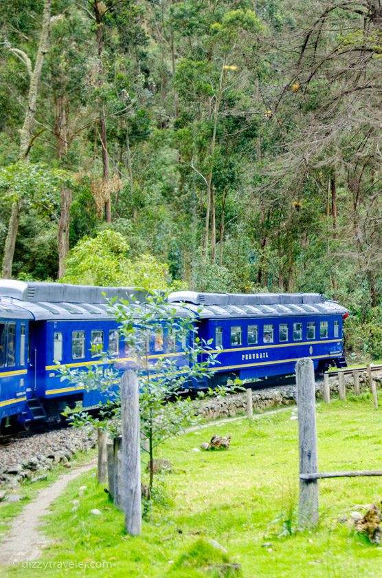 Peru Rail, Machu Picchu