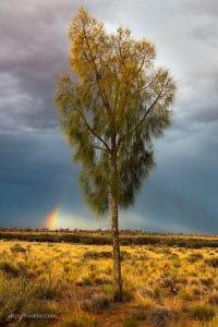 Rainbow in the desert - NT, Australia