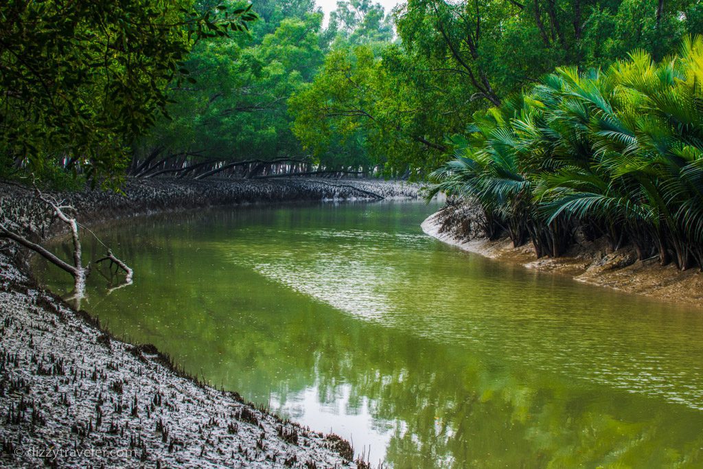 sundarbans, bangladesh