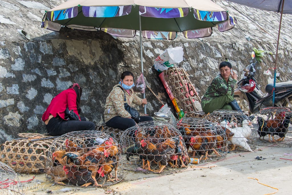 Livestock section of Bac Ha Sunday Market